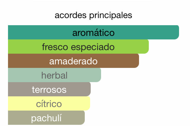 Decant - Yves Saint Laurent Y EDP Intense - Luxe Fragances Pair 