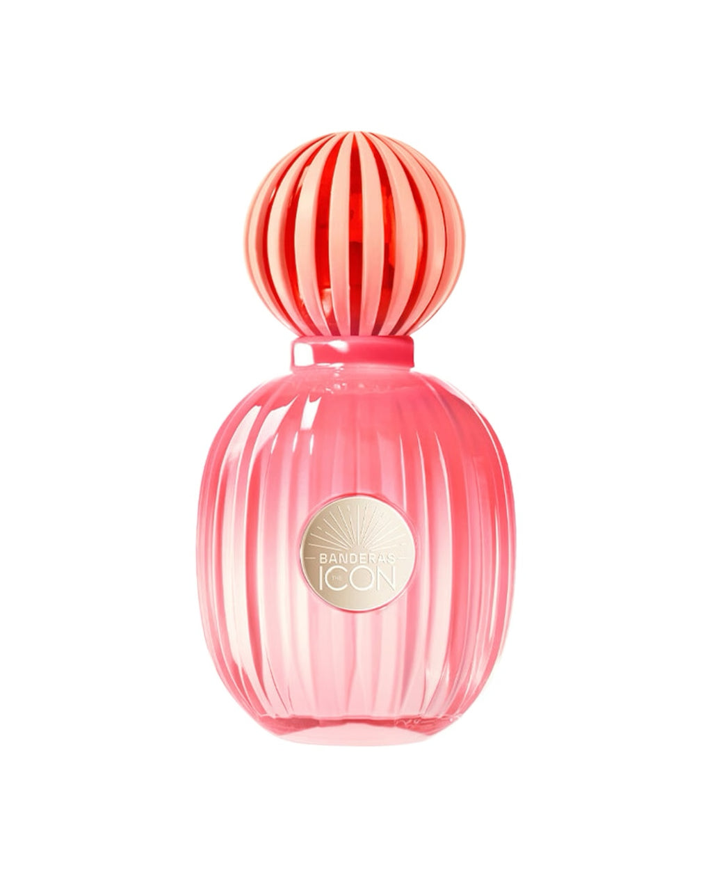 Antonio anderas - The Icon Splendid Eau de Parfum - Luxe Fragances Pair 