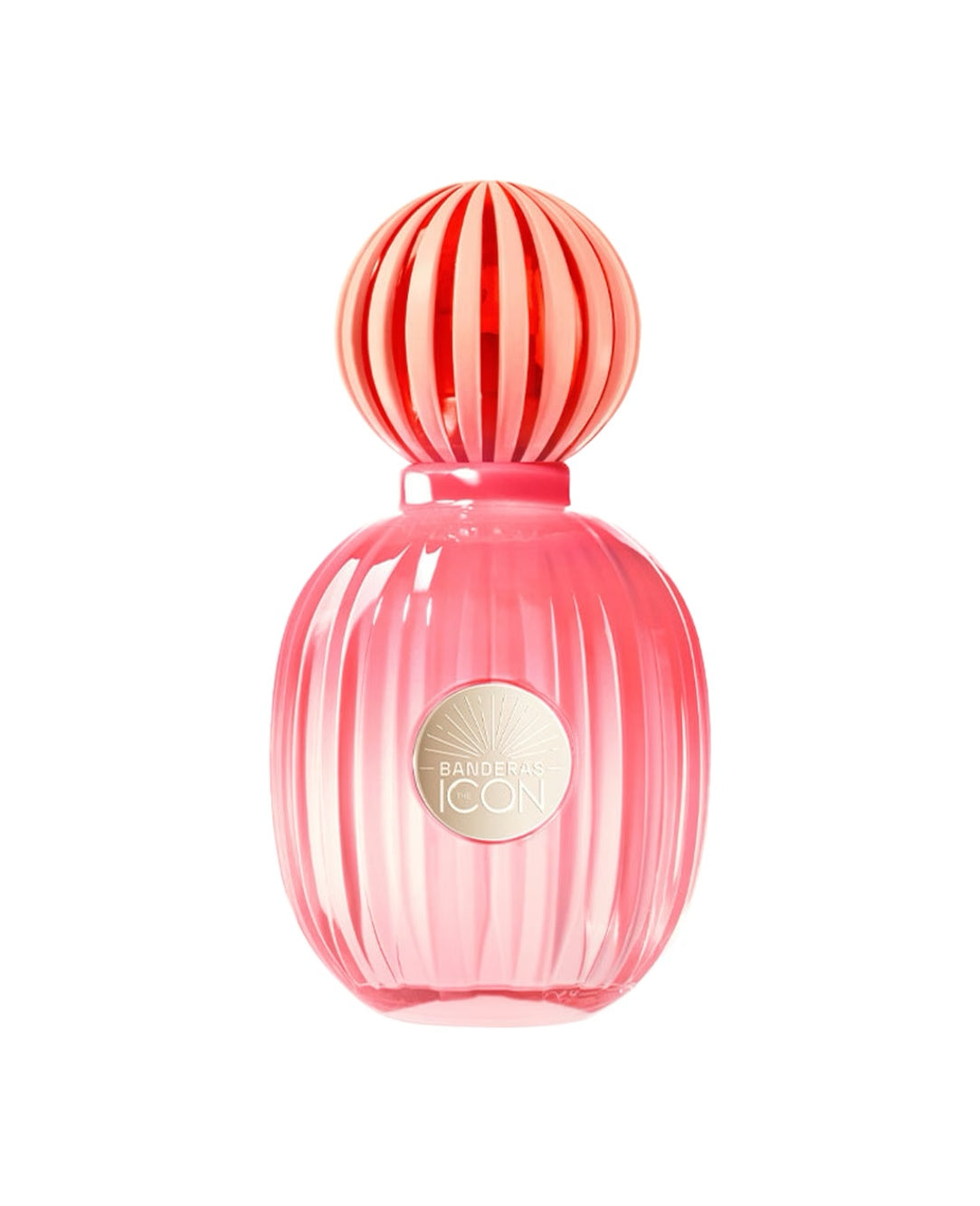 Antonio anderas - The Icon Splendid Eau de Parfum - Luxe Fragances Pair 